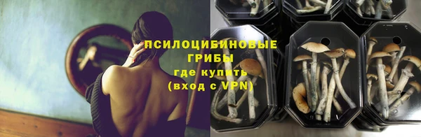 прущий лед Верхний Тагил
