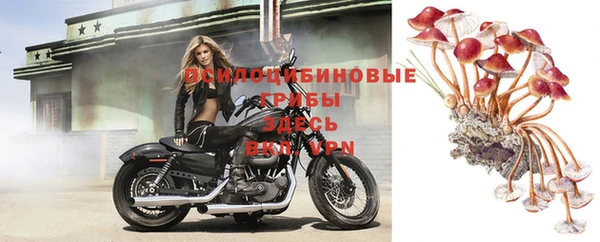 гидропоника Верея