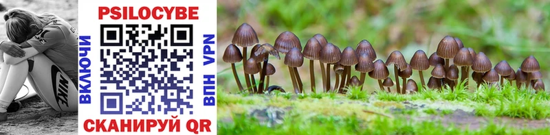 Псилоцибиновые грибы Magic Shrooms  Новый Оскол 