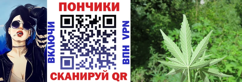 Шишки марихуана сатива  Новый Оскол 